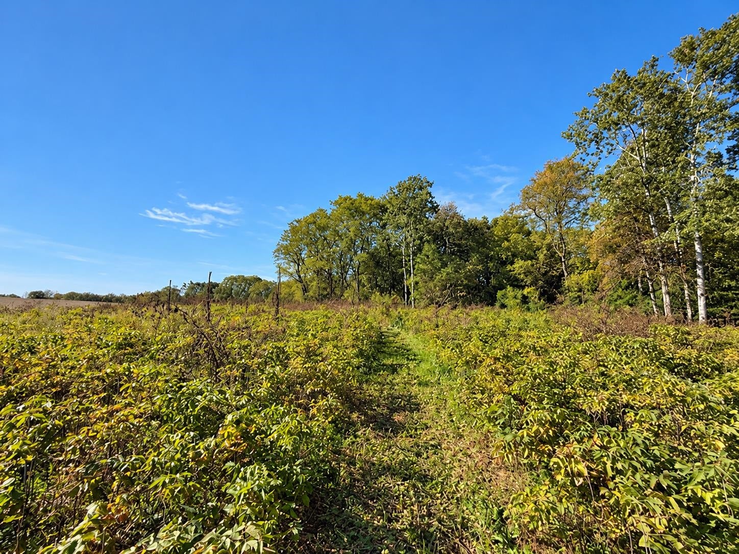 Lot 1 Csm 12361, Vermont, WI 53515