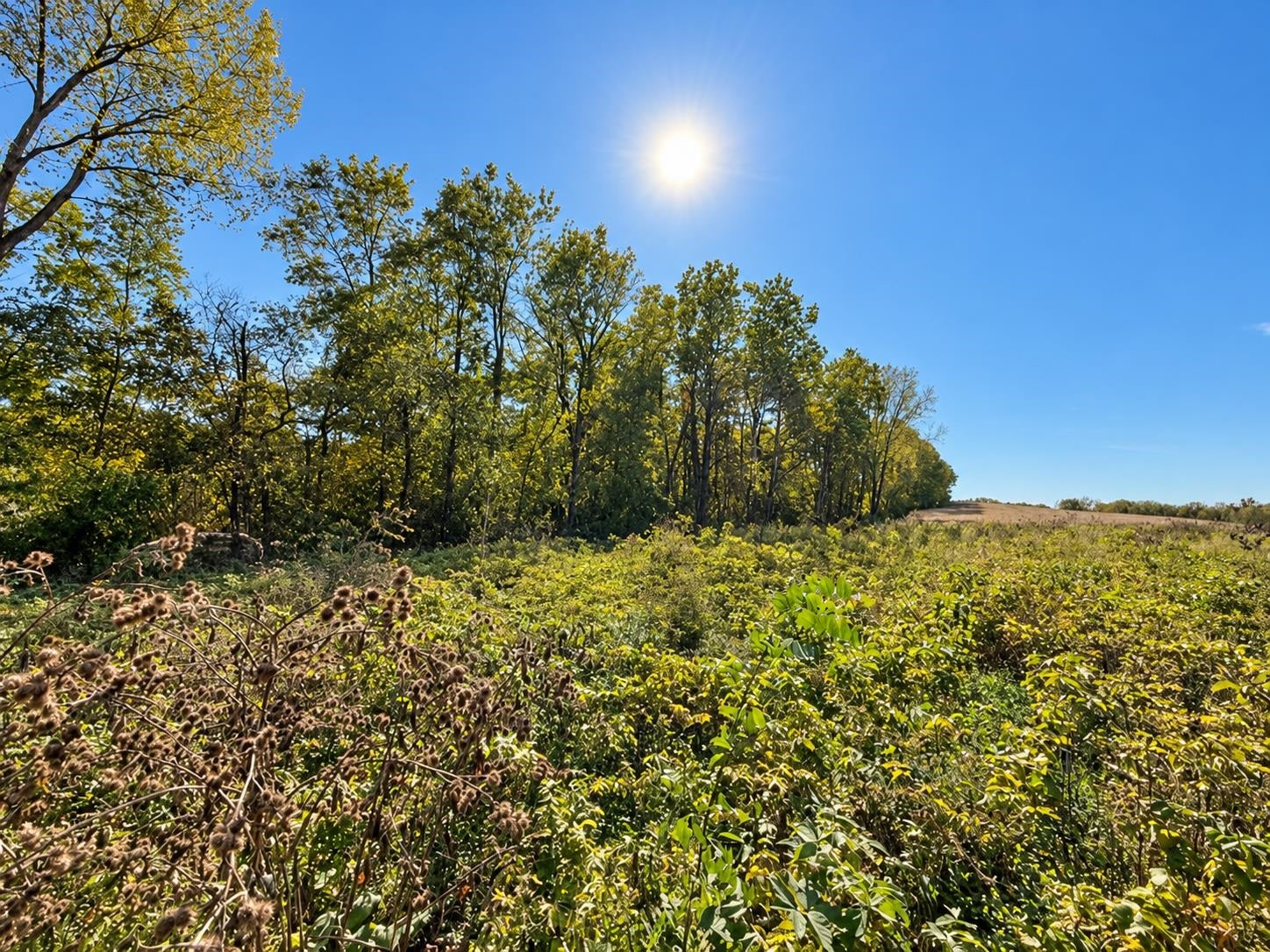 Lot 1 Csm 12361, Vermont, WI 53515