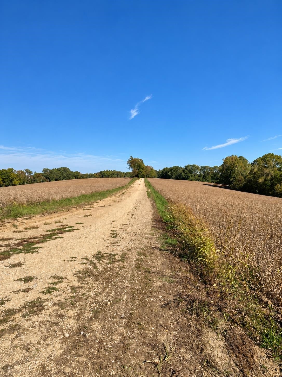 Lot 1 Csm 12361, Vermont, WI 53515