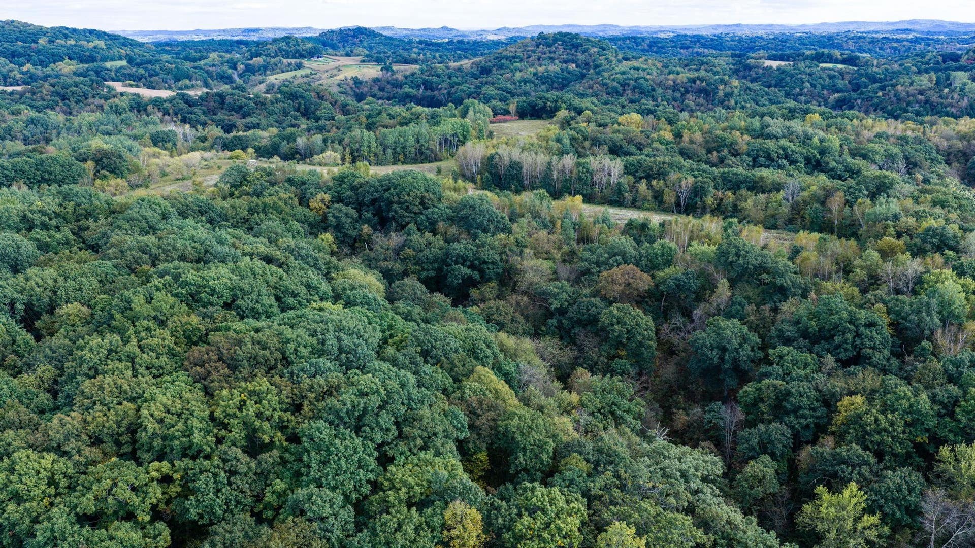 0 Moen Coulee Road, Ettrick, WI 54627