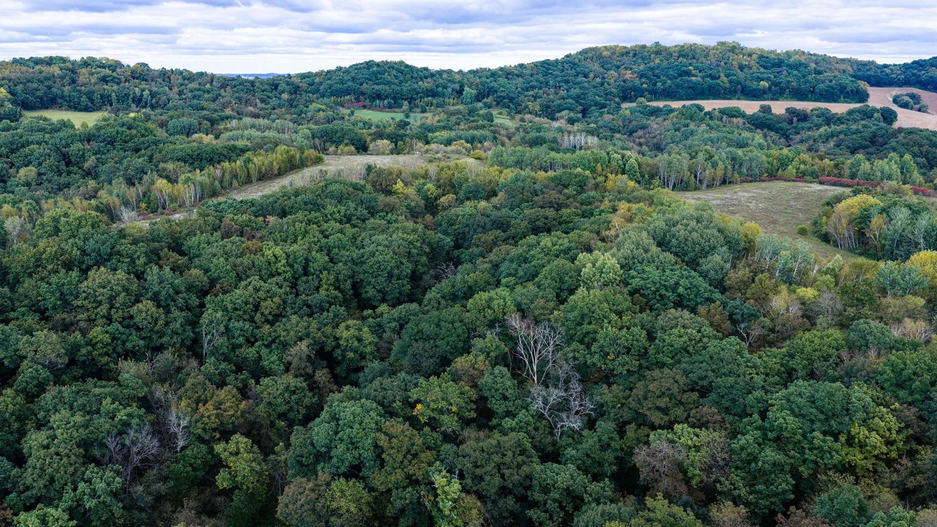 0 Moen Coulee Road, Ettrick, WI 54627