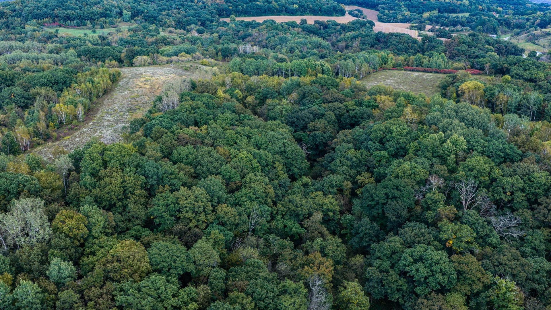 0 Moen Coulee Road, Ettrick, WI 54627