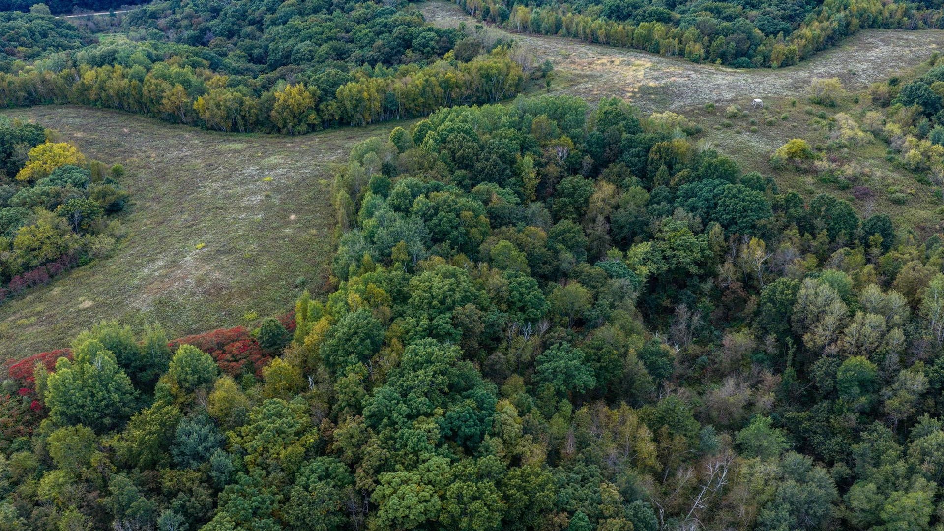 0 Moen Coulee Road, Ettrick, WI 54627