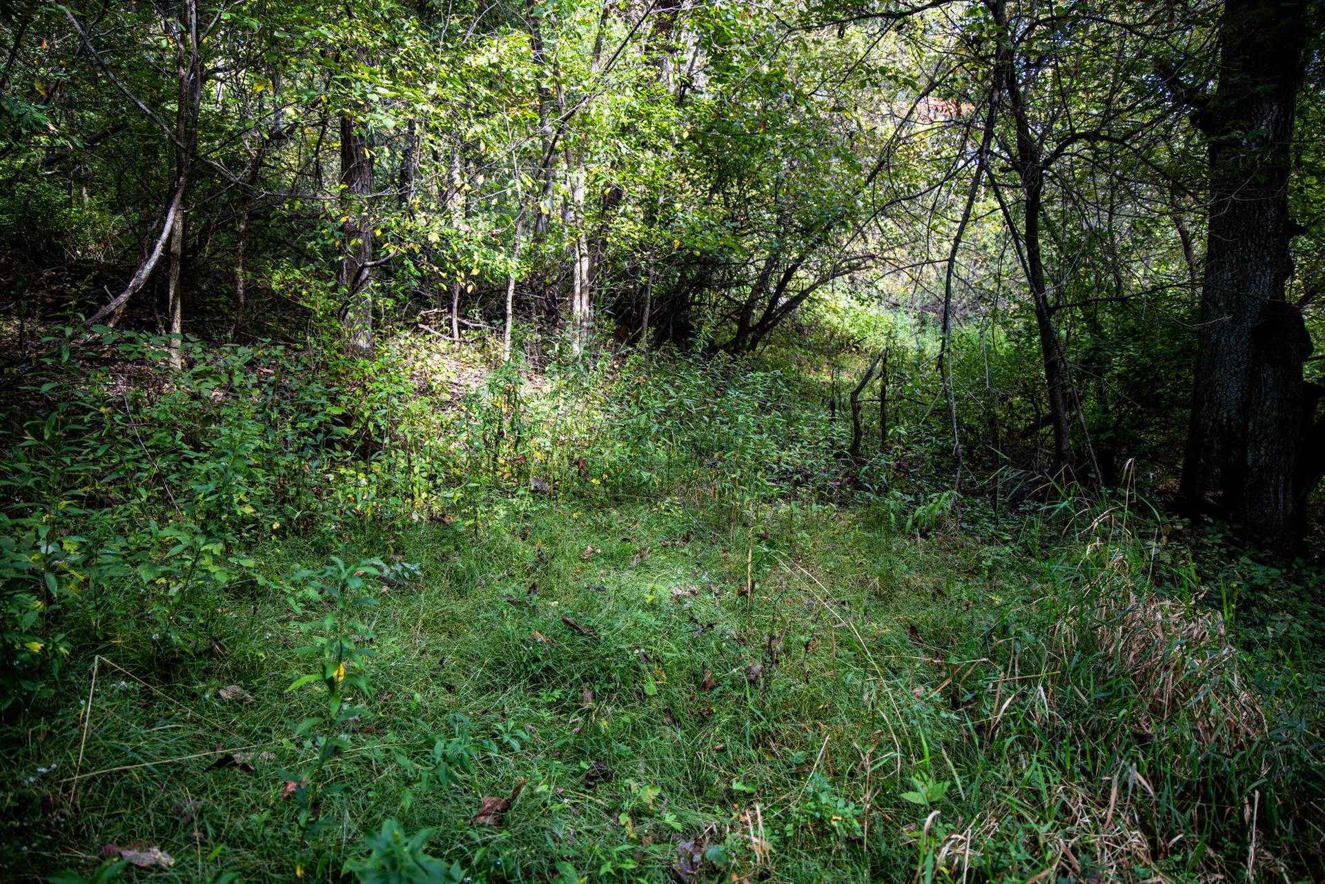 0 Moen Coulee Road, Ettrick, WI 54627