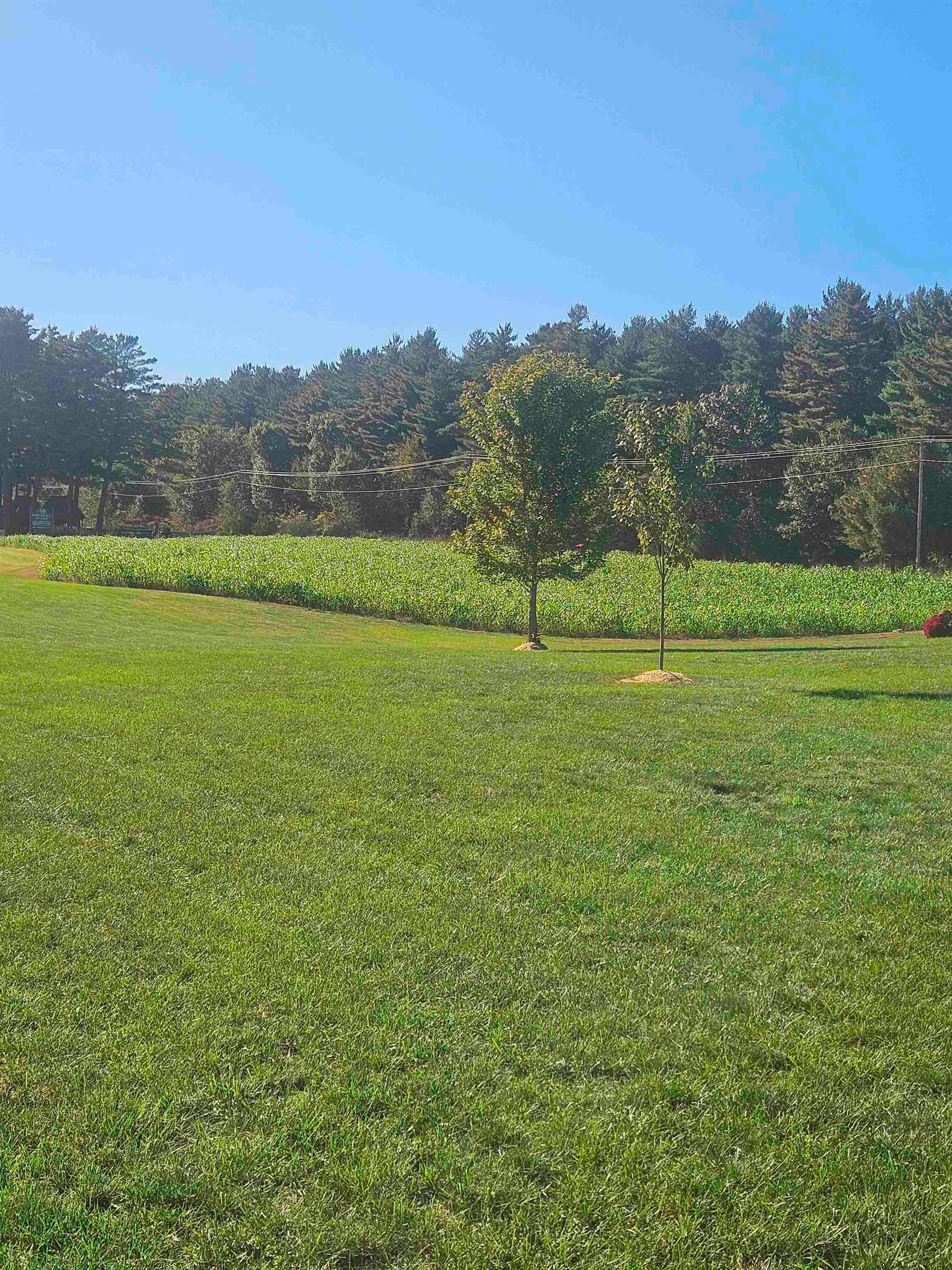 7361 State Road 133, Woodman, WI 53805