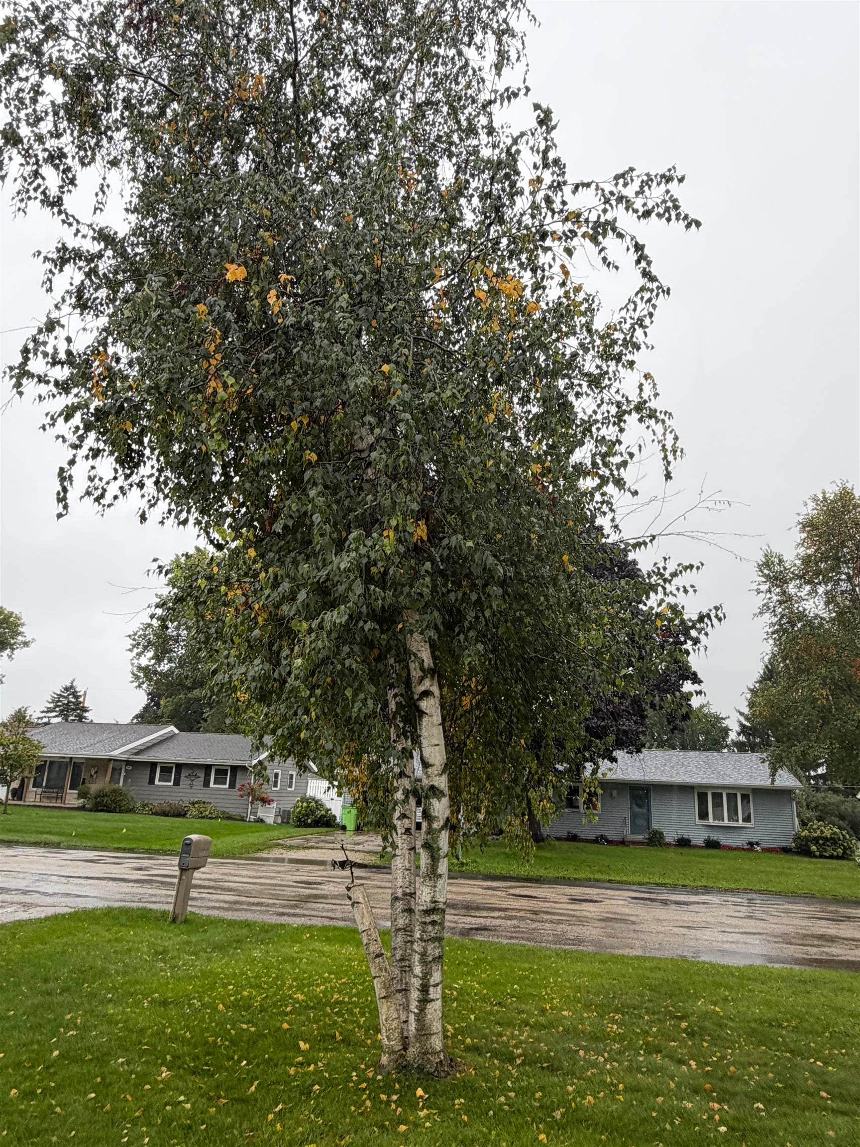 506 Lake Street, Beaver Dam, WI 53916