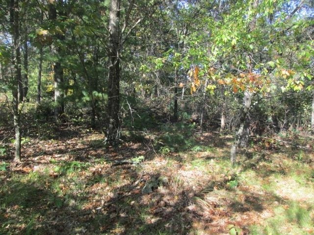 408 St Andrews Trail, Rome, WI 54457