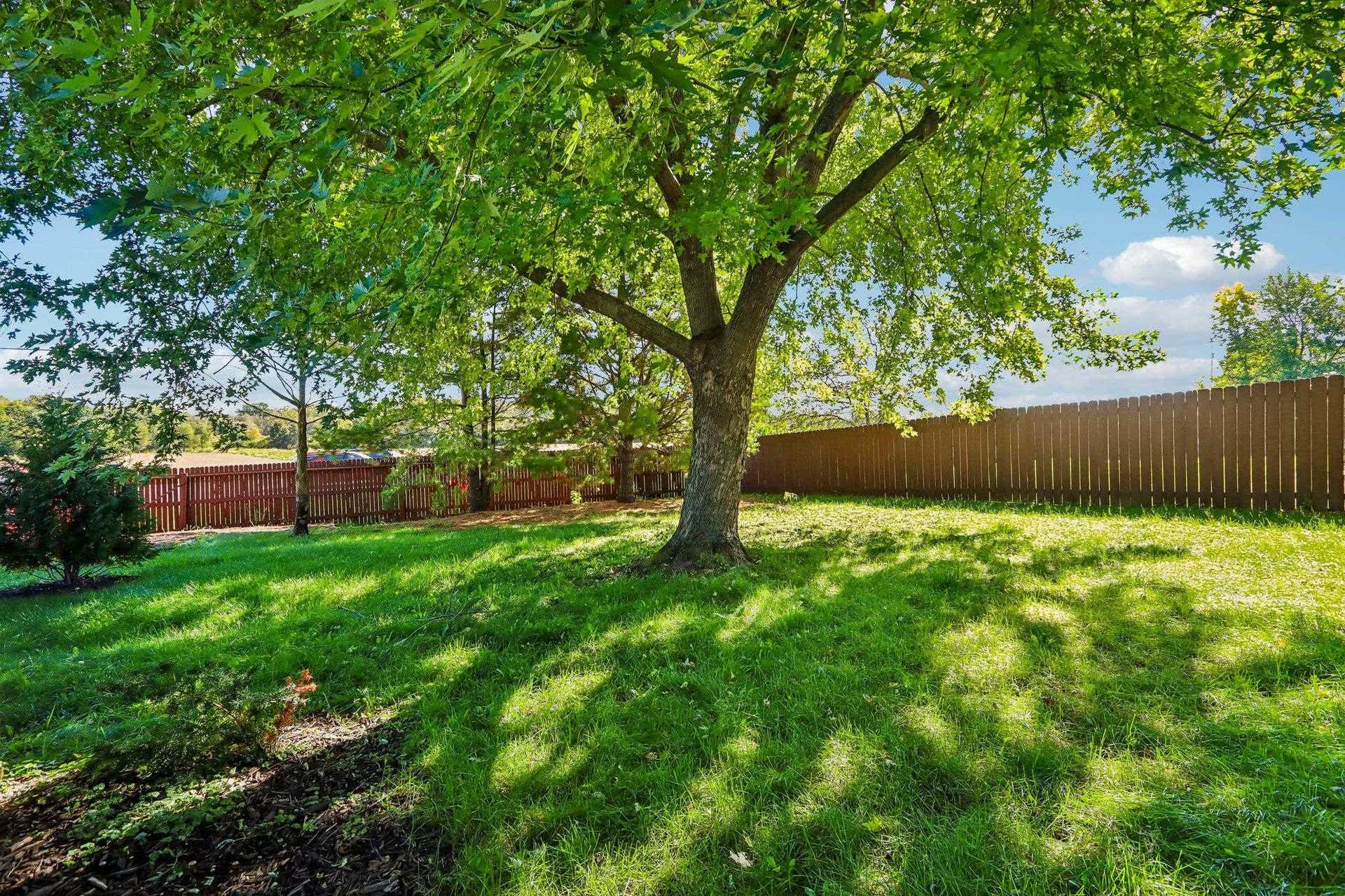 6 Buhler Court, Madison, WI 53704