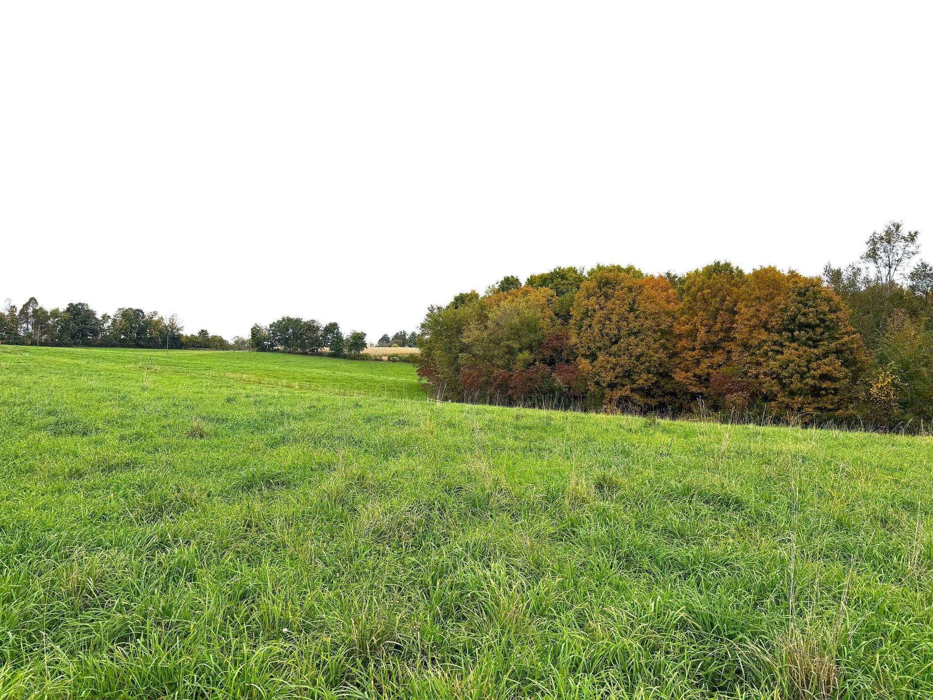 19120 Whiteaker Cemetery Lane, Scott, WI 54631