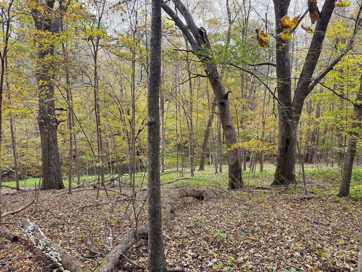 19120 Whiteaker Cemetery Lane, Scott, WI 54631