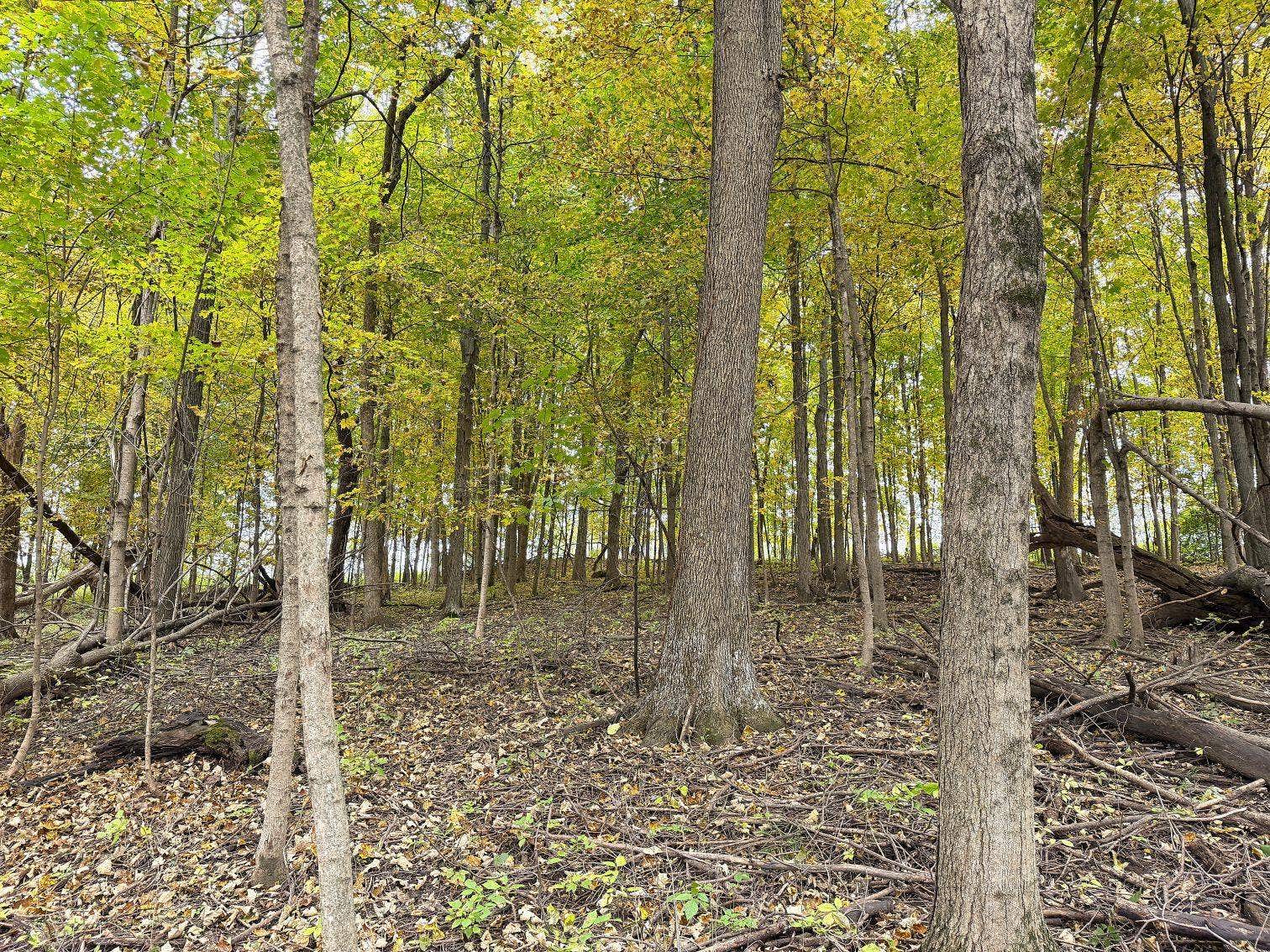 19120 Whiteaker Cemetery Lane, Scott, WI 54631