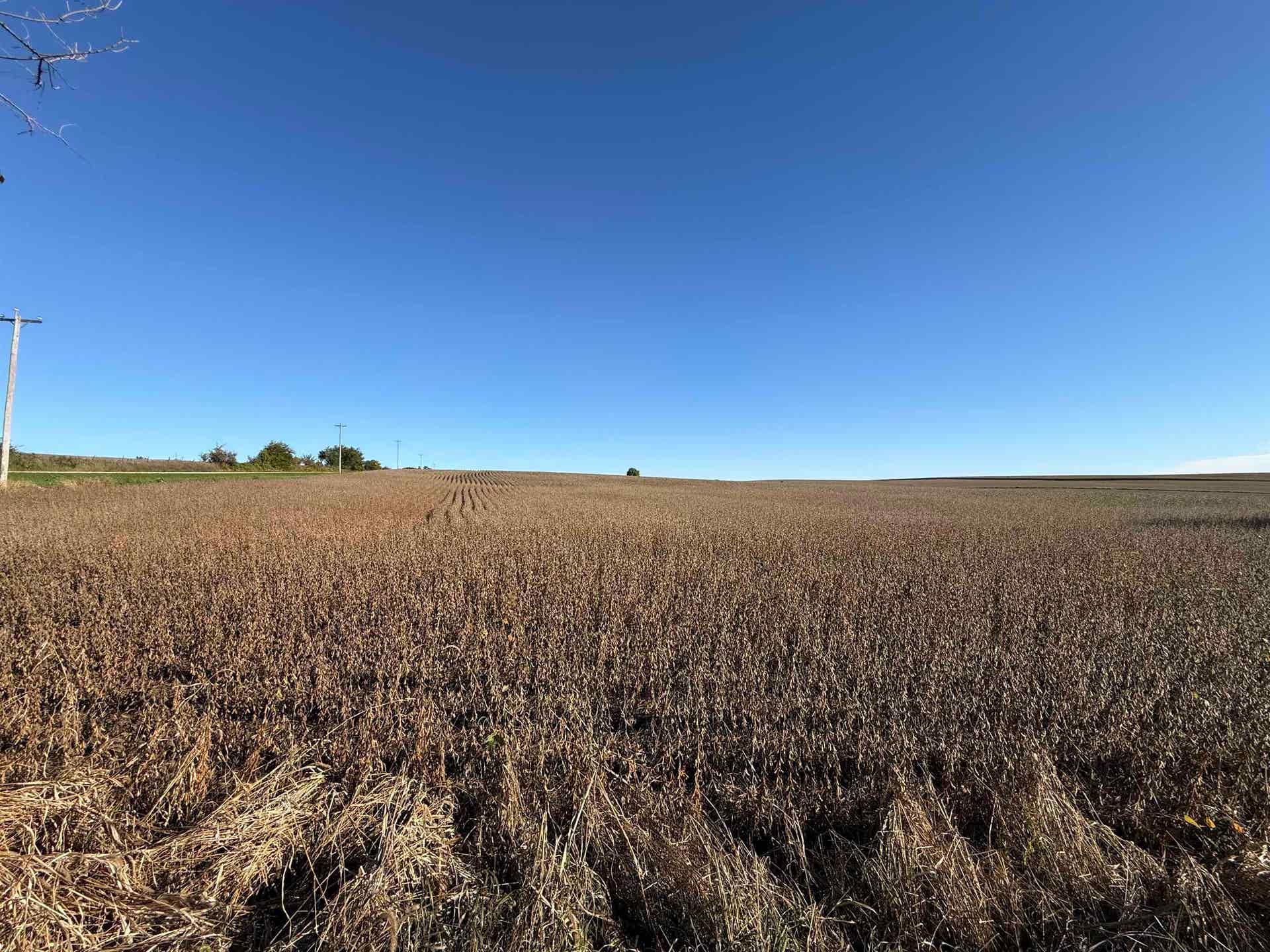 65 Ac. Five Corner Road, Jefferson, WI 53566