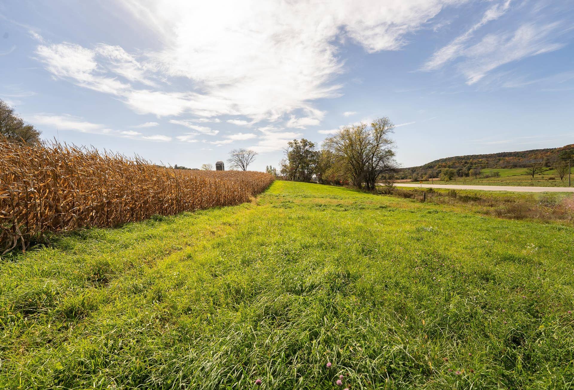 34.06 acres Highway 131, Wilton, WI 54670