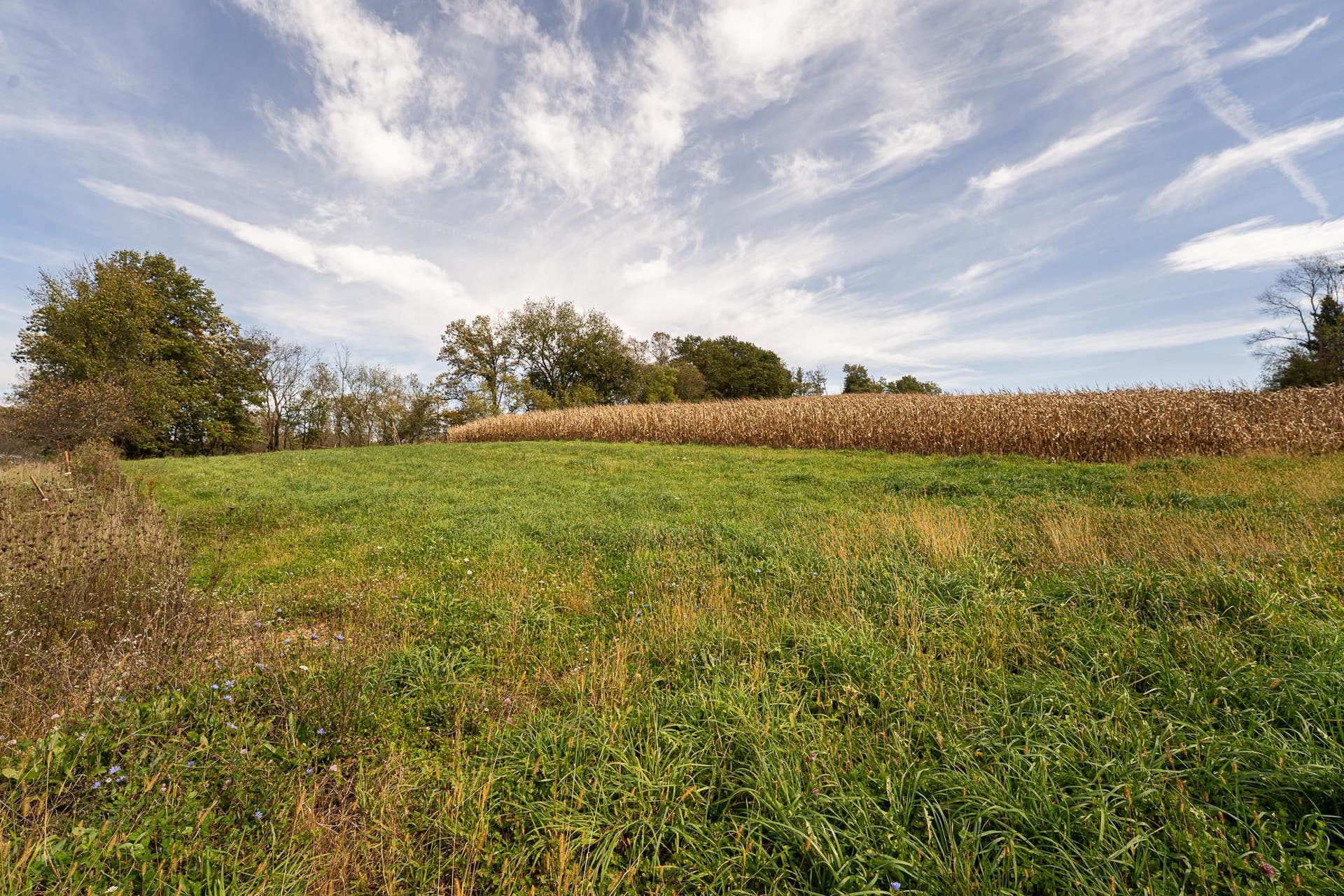 34.06 acres Highway 131, Wilton, WI 54670