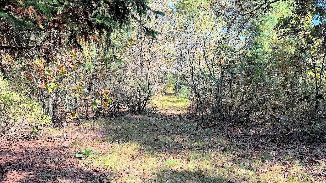 1984 W 7th Drive, Adams, WI 53934