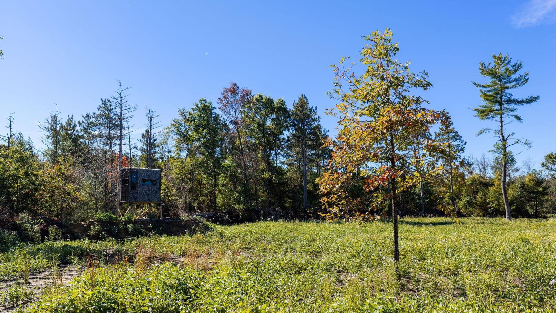 943 13th Avenue, Big Flats, WI 54613