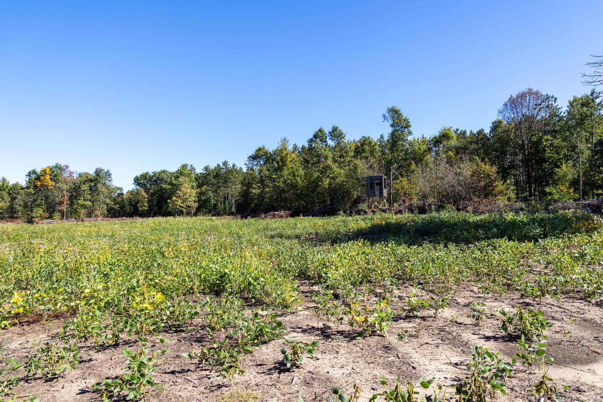 943 13th Avenue, Big Flats, WI 54613