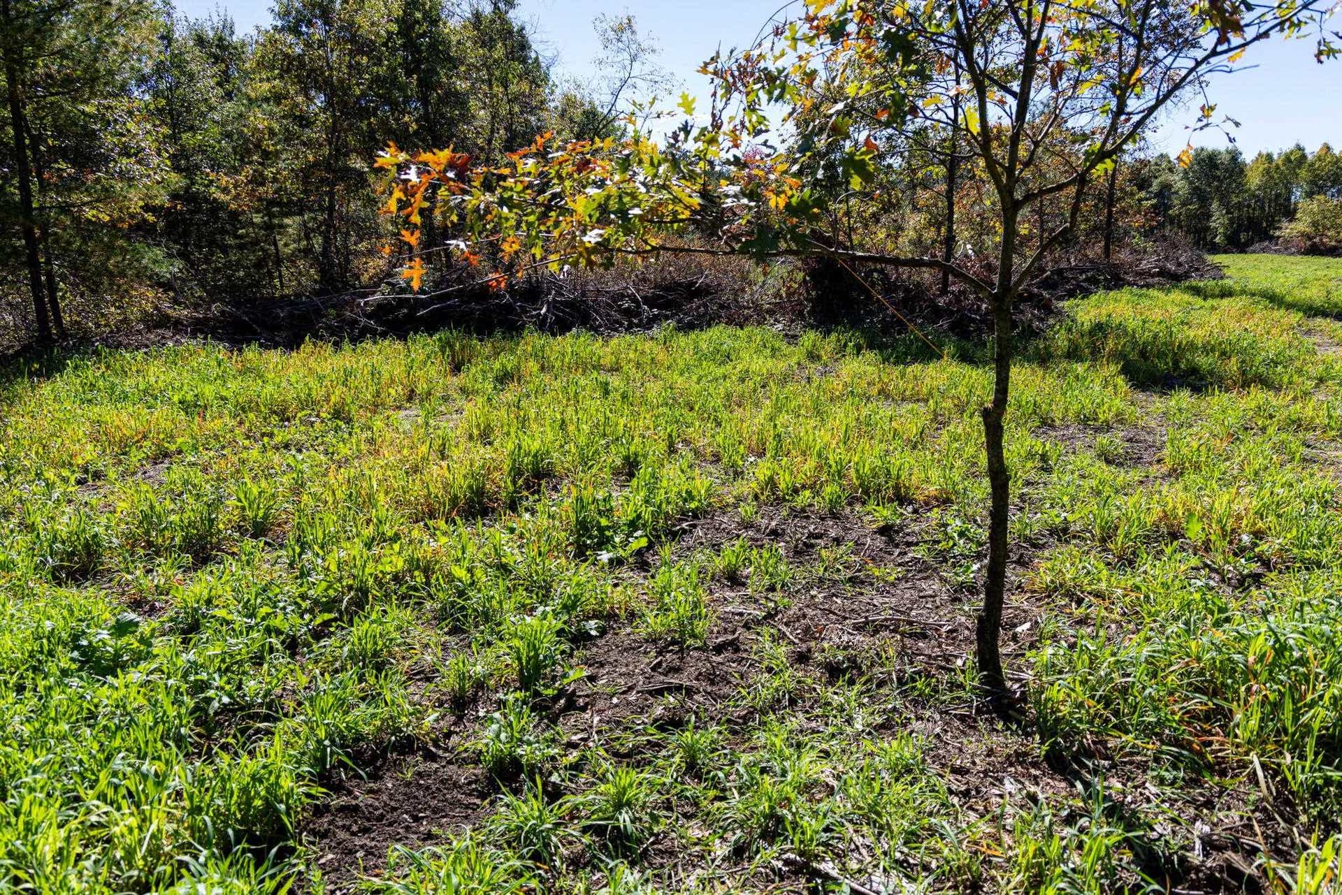 943 13th Avenue, Big Flats, WI 54613