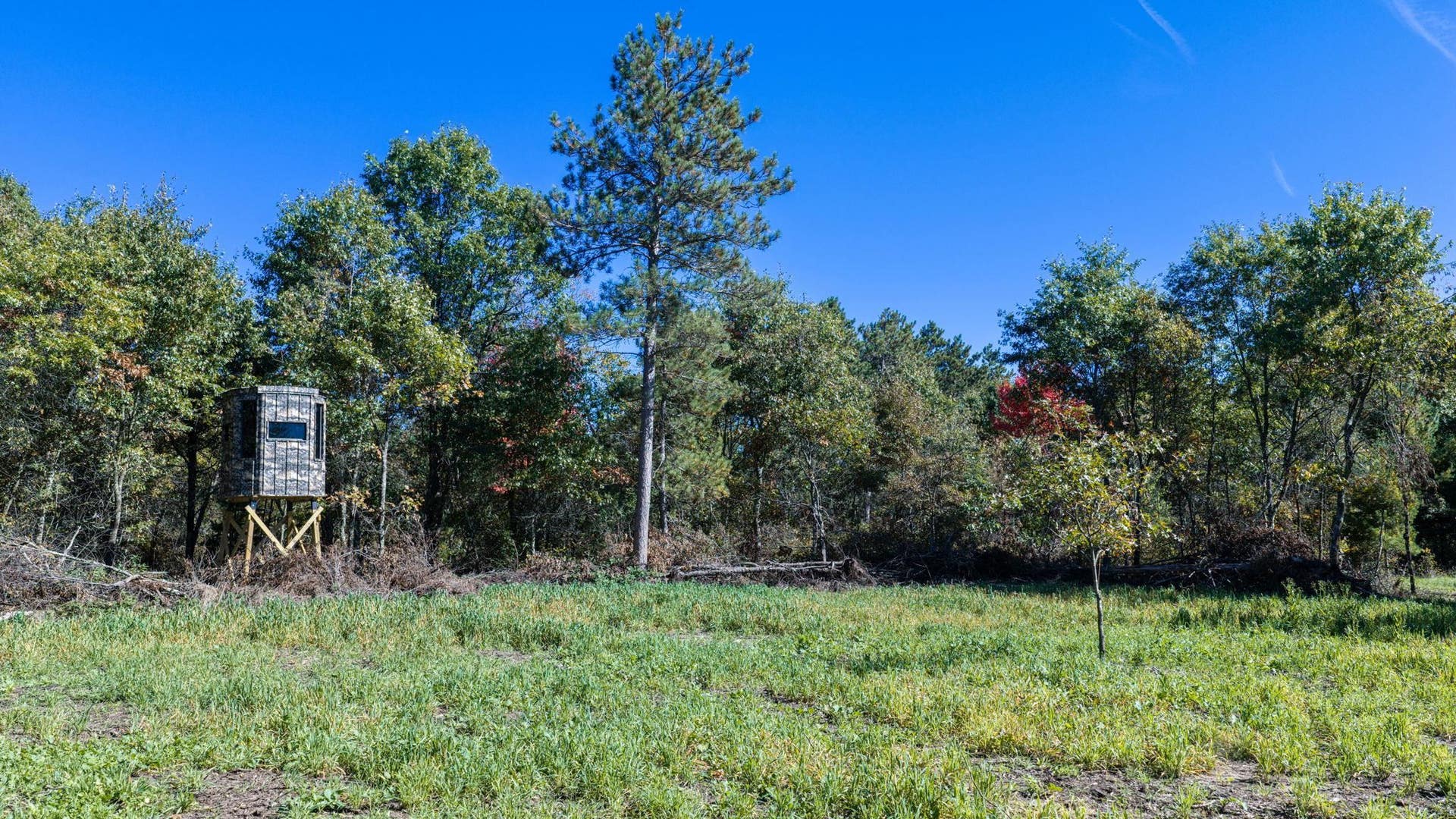 943 13th Avenue, Big Flats, WI 54613