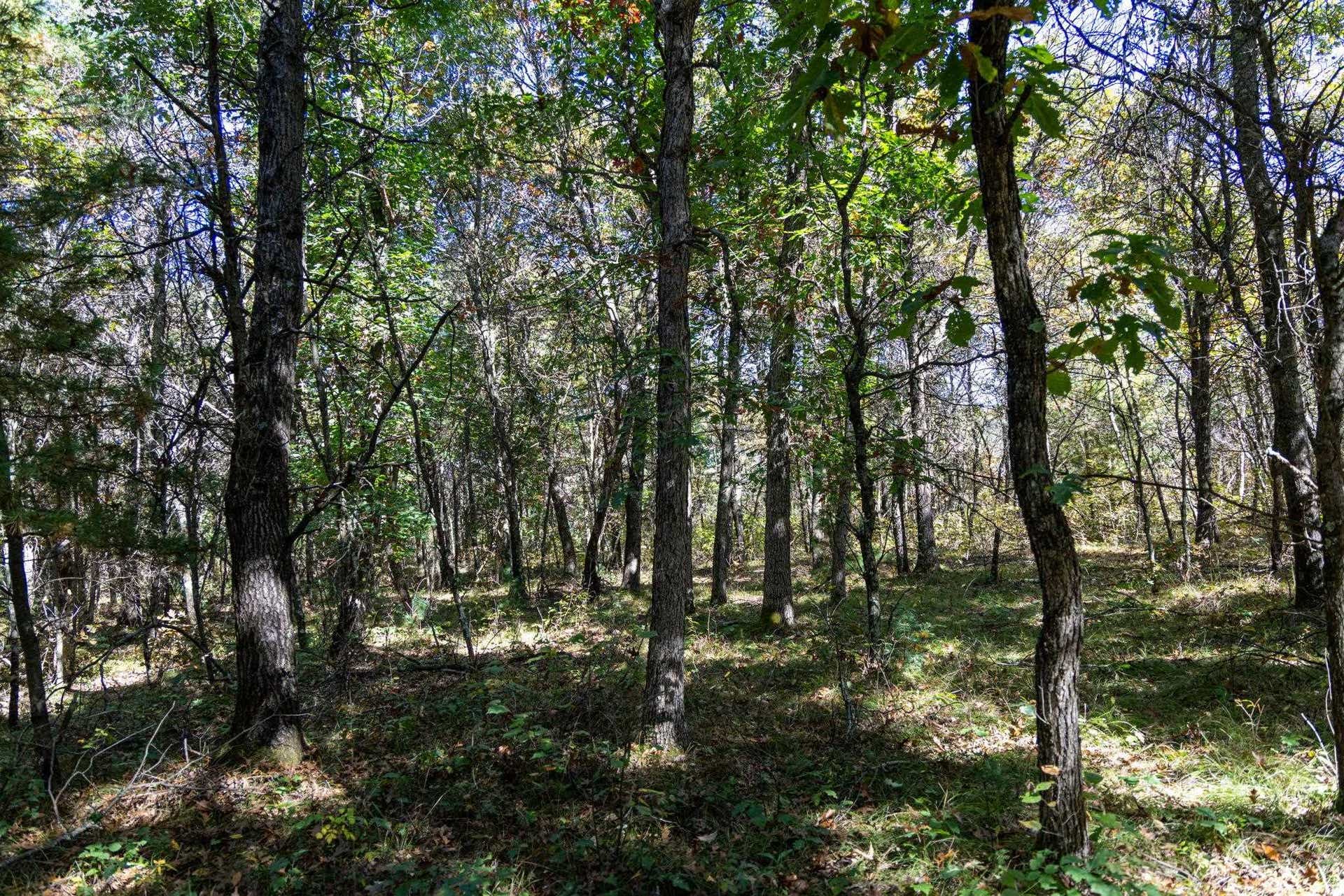 943 13th Avenue, Big Flats, WI 54613