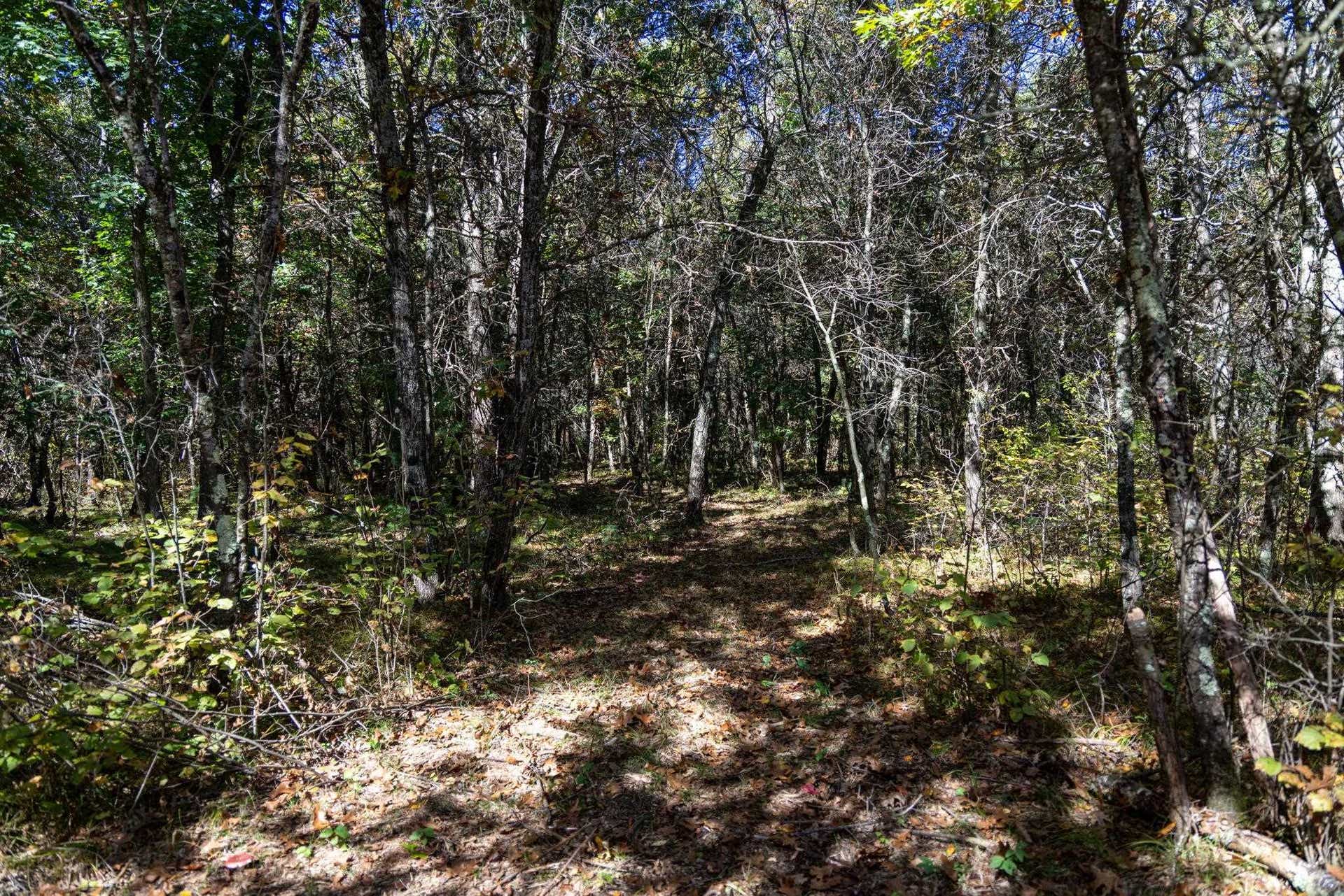 943 13th Avenue, Big Flats, WI 54613