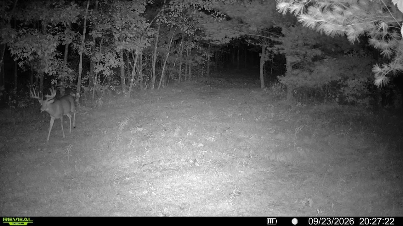 943 13th Avenue, Big Flats, WI 54613