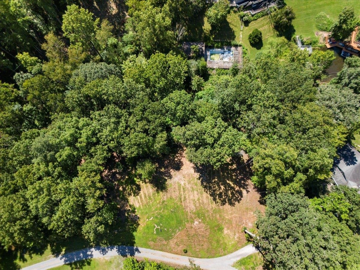 TBD Allison Drive, Hiwassee, VA 24347