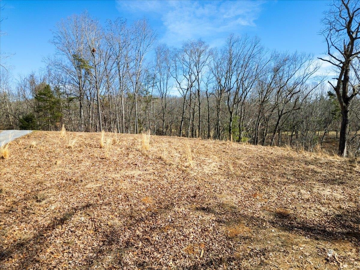 TBD Allison Drive, Hiwassee, VA 24347