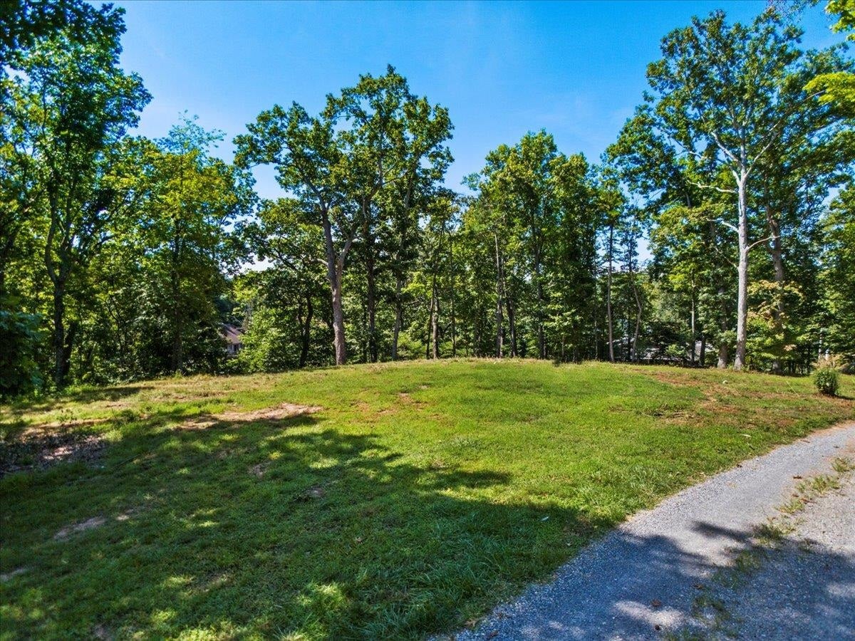 TBD Allison Drive, Hiwassee, VA 24347