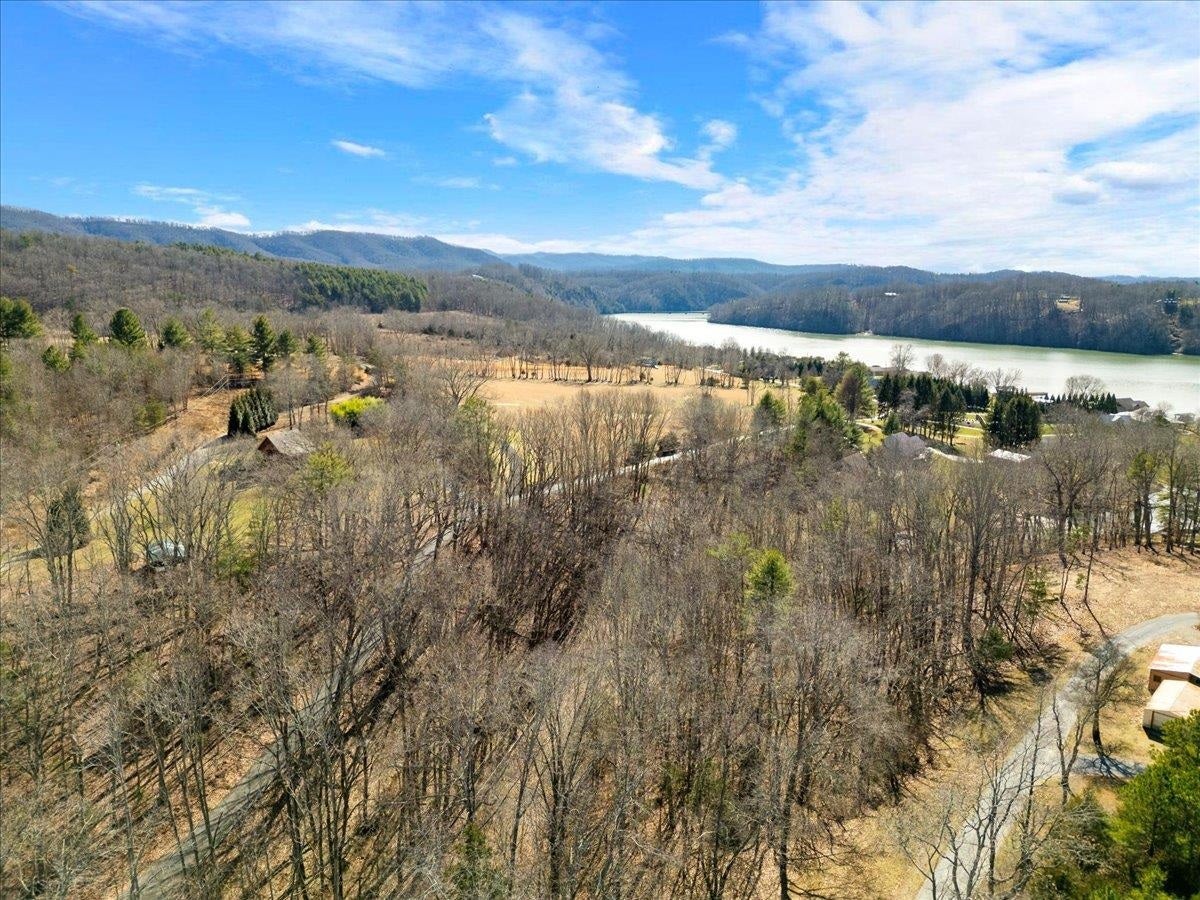 TBD Allison Drive, Hiwassee, VA 24347