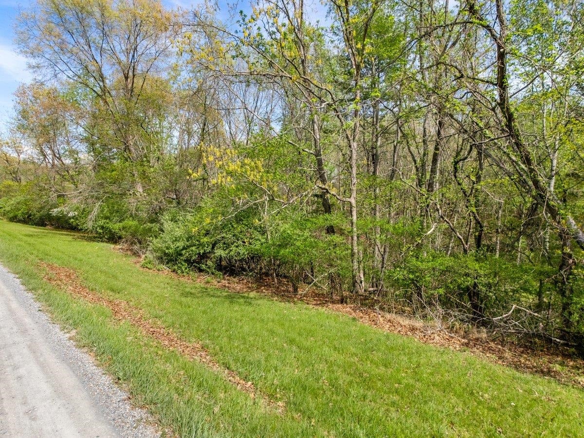 TBD Allison Drive, Hiwassee, VA 24347