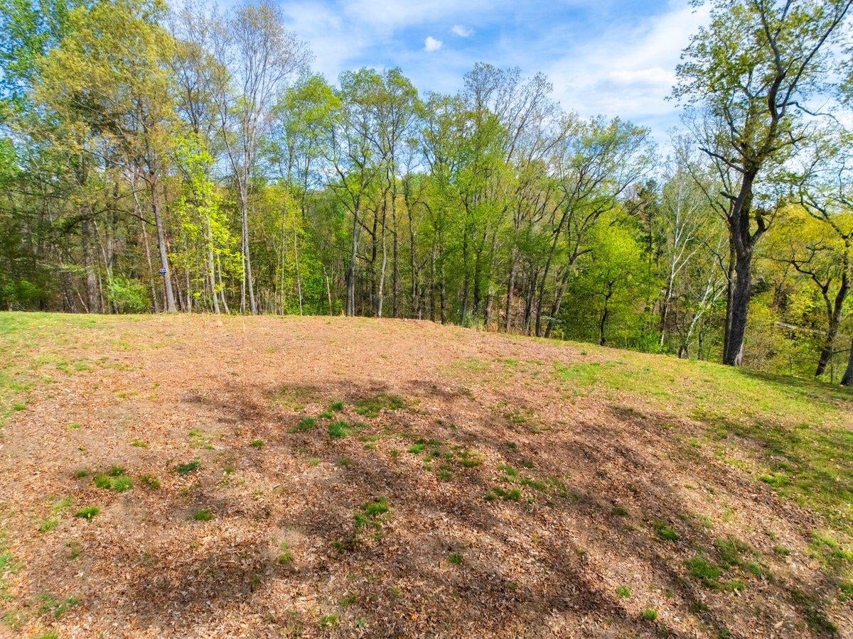 TBD Allison Drive, Hiwassee, VA 24347