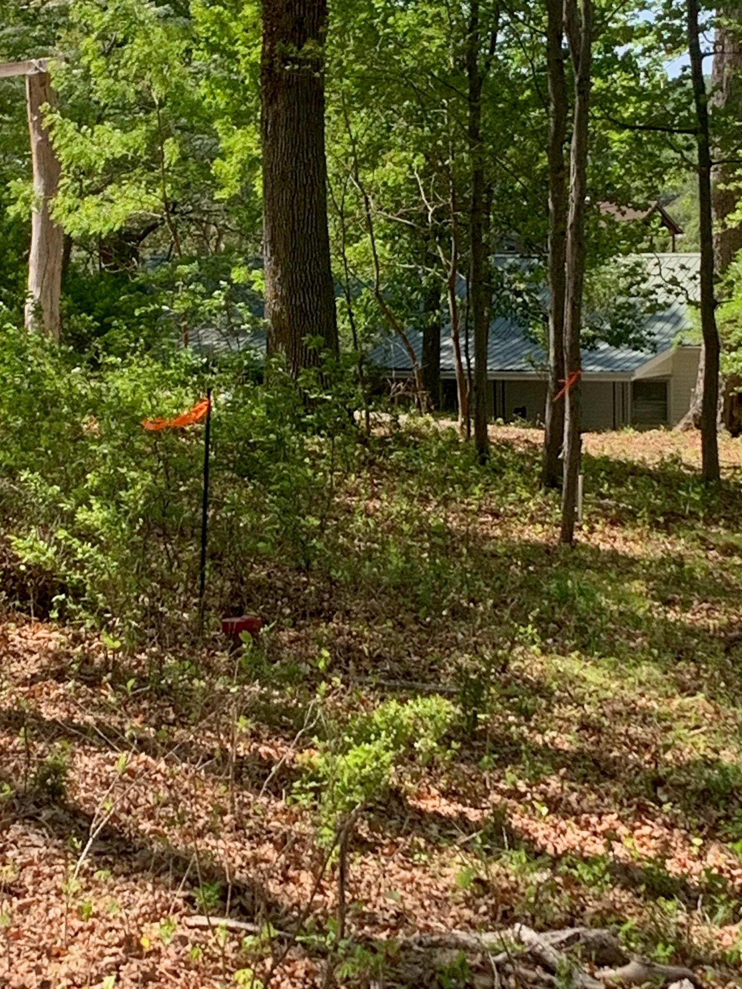 TBD Allison Drive, Hiwassee, VA 24347