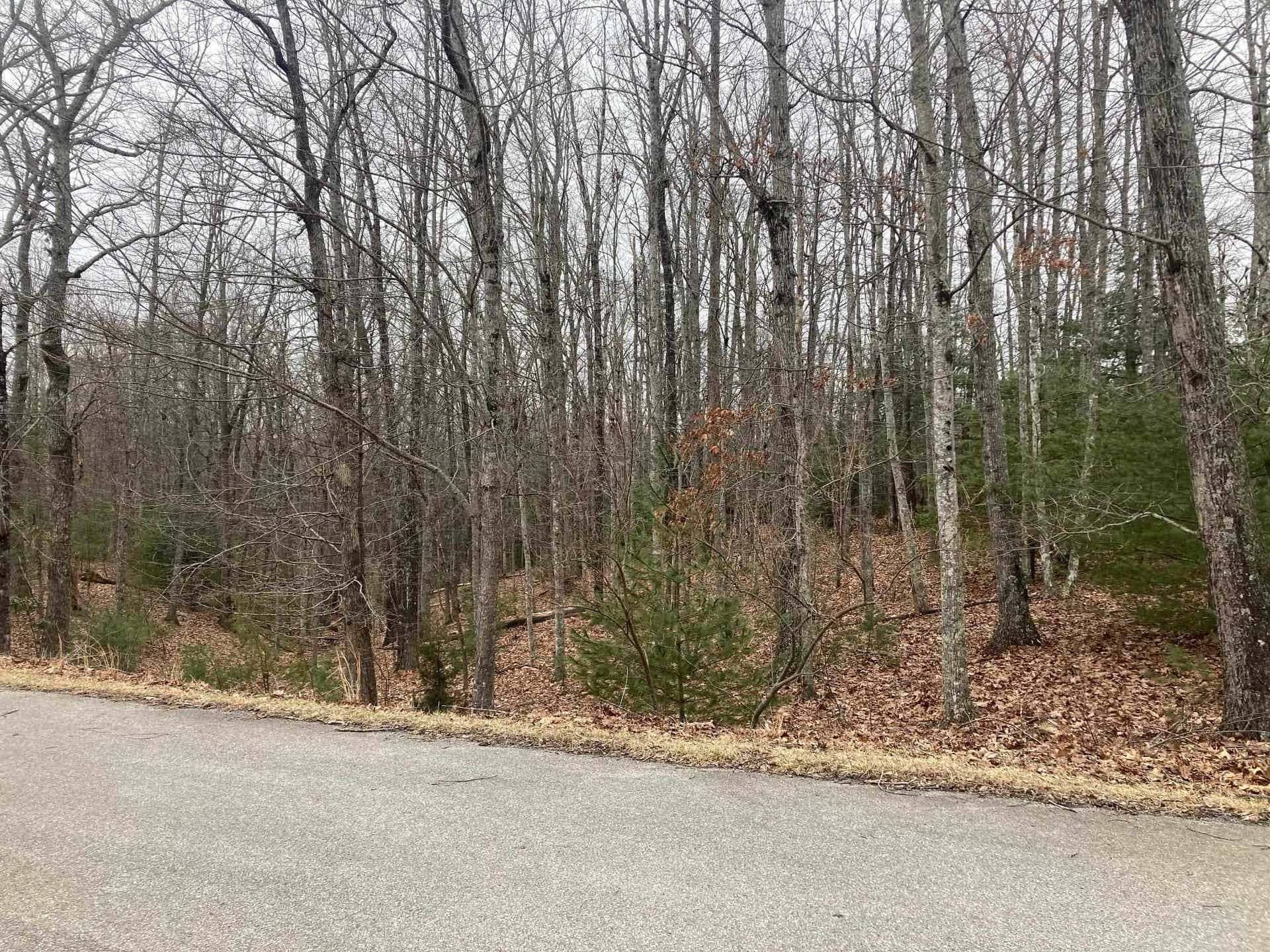 1262 TREETOP RIDGE Road, Blacksburg, VA 24060
