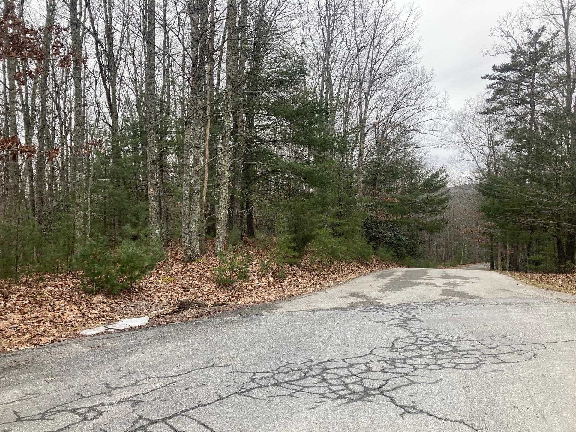 1262 TREETOP RIDGE Road, Blacksburg, VA 24060