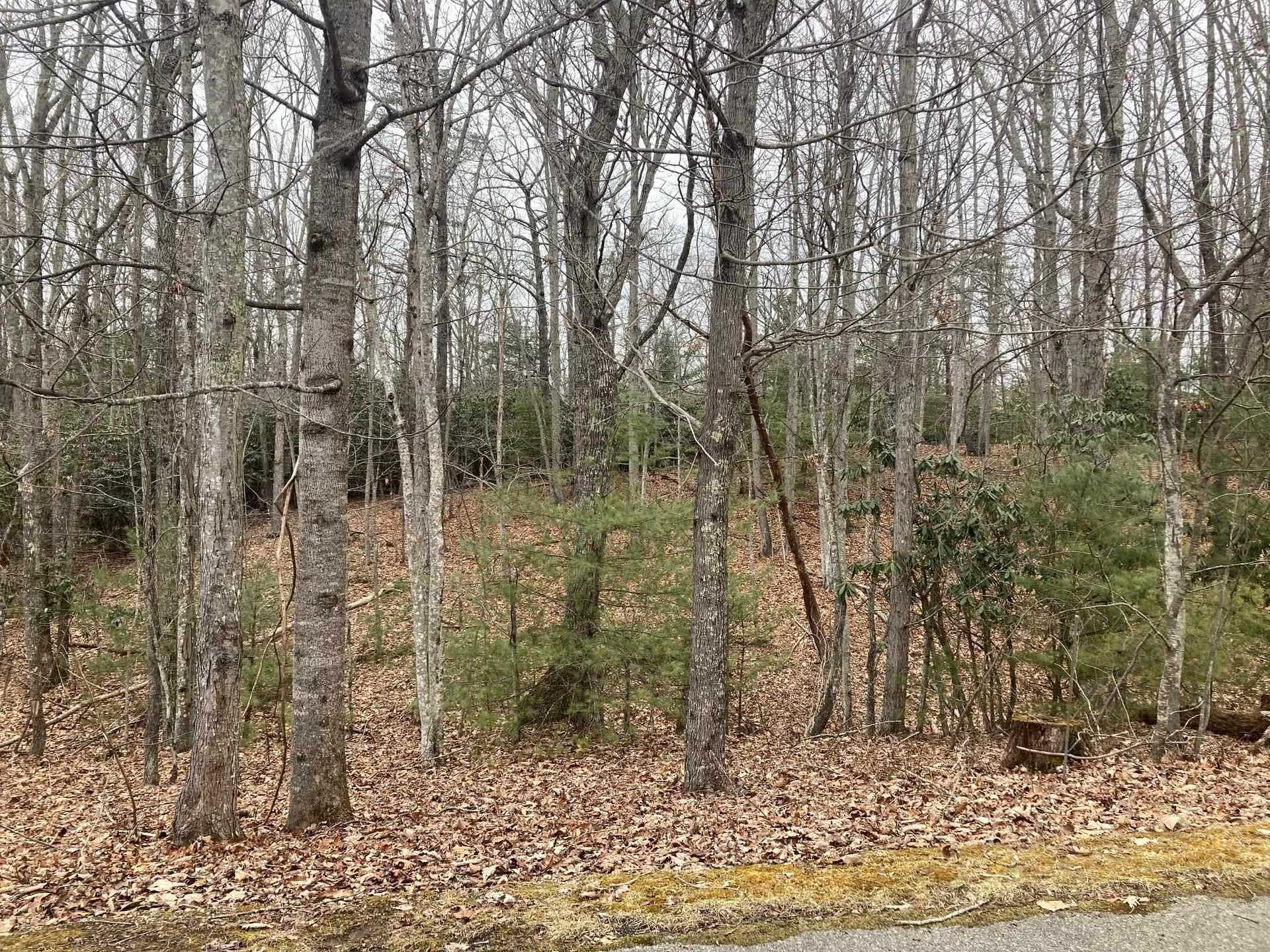 1262 TREETOP RIDGE Road, Blacksburg, VA 24060