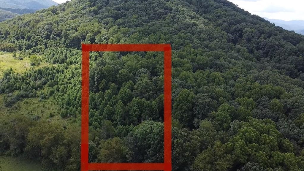 0 Scenic Drive, Rich Creek, VA 24147
