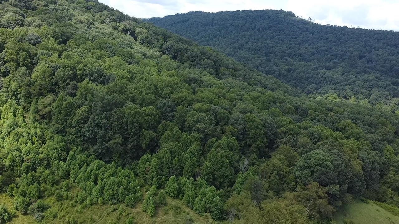 0 Scenic Drive, Rich Creek, VA 24147