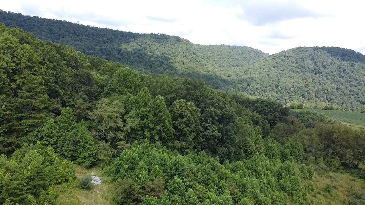 0 Scenic Drive, Rich Creek, VA 24147