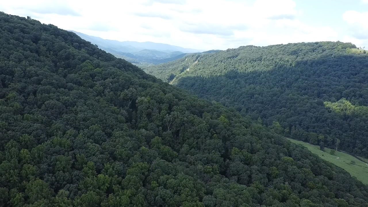 0 Scenic Drive, Rich Creek, VA 24147