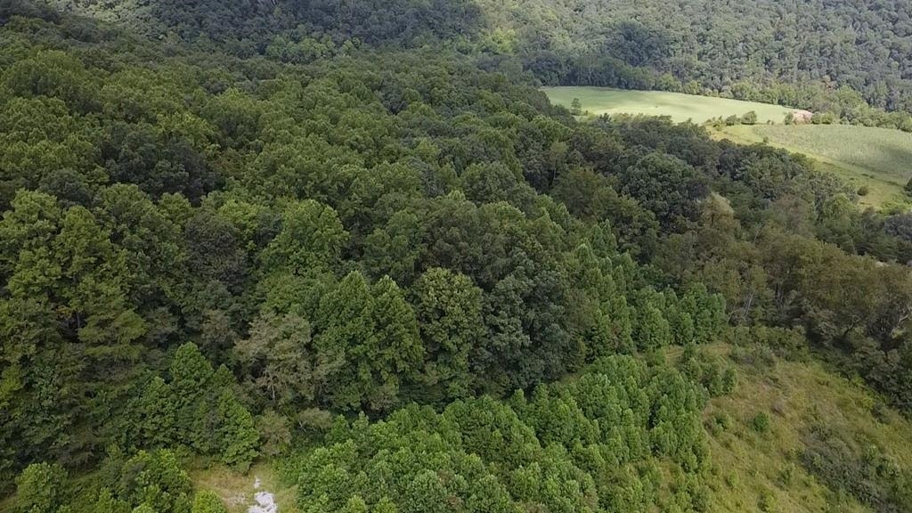 0 Scenic Drive, Rich Creek, VA 24147
