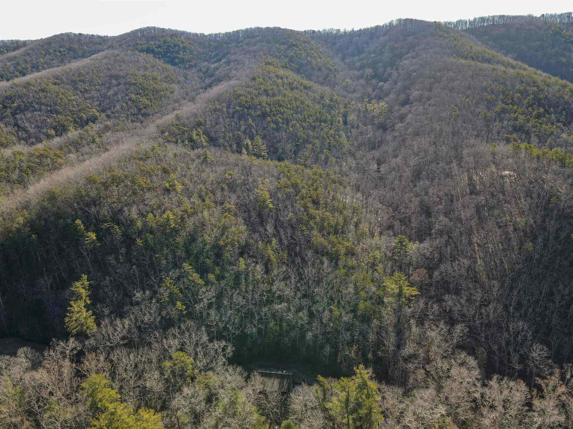 5545 Norris Run Road, Blacksburg, VA 24060