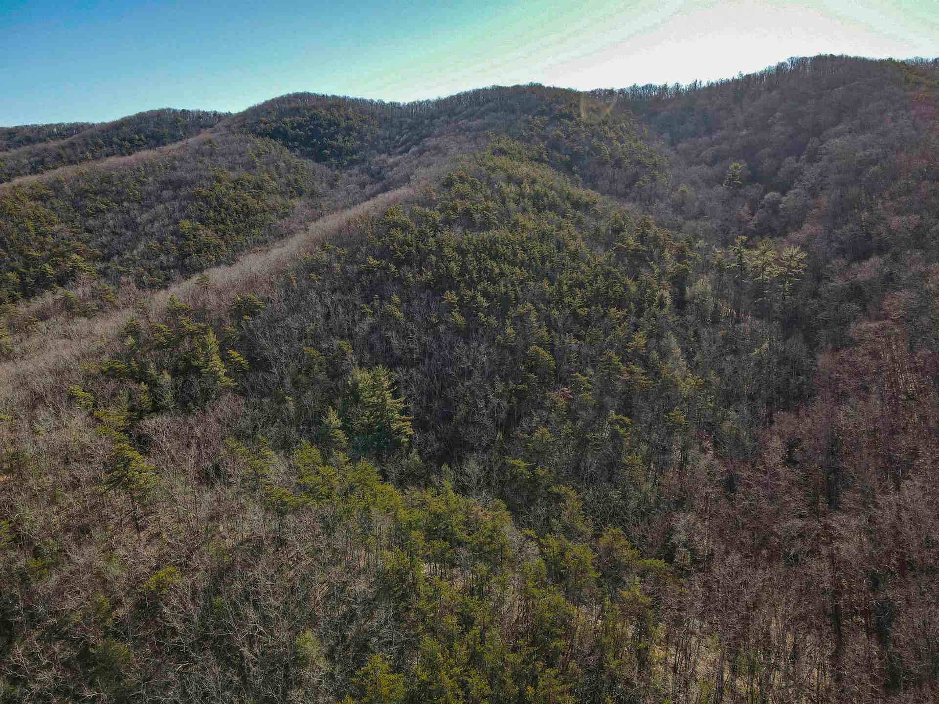 5545 Norris Run Road, Blacksburg, VA 24060