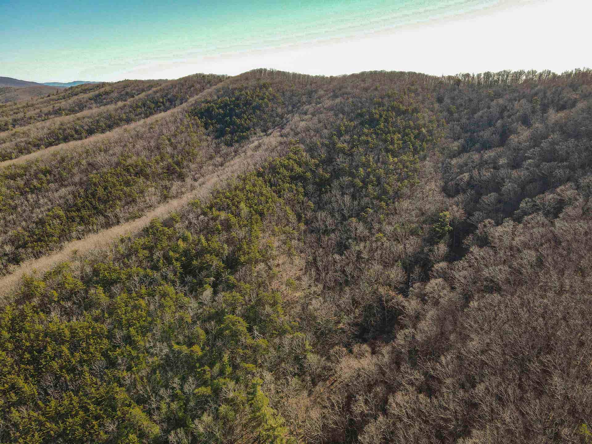 5545 Norris Run Road, Blacksburg, VA 24060