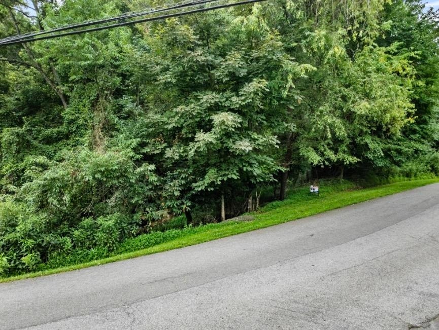 TBD Riverbluff Road, Fairlawn, VA 24141