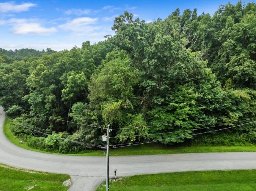 TBD Riverbluff Road, Fairlawn, VA 24141