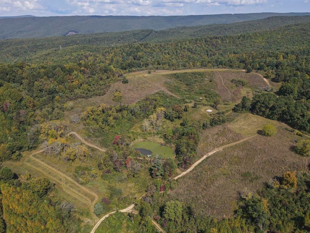 TBD Flat Top Road, Pearisburg, VA 24134