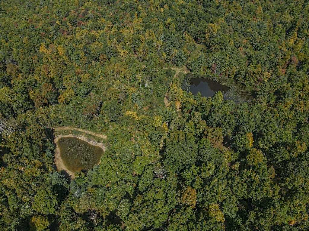 TBD Flat Top Road, Pearisburg, VA 24134