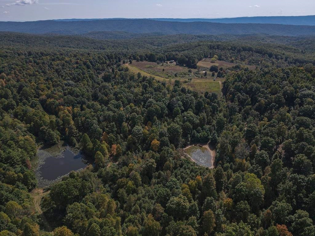 TBD Flat Top Road, Pearisburg, VA 24134