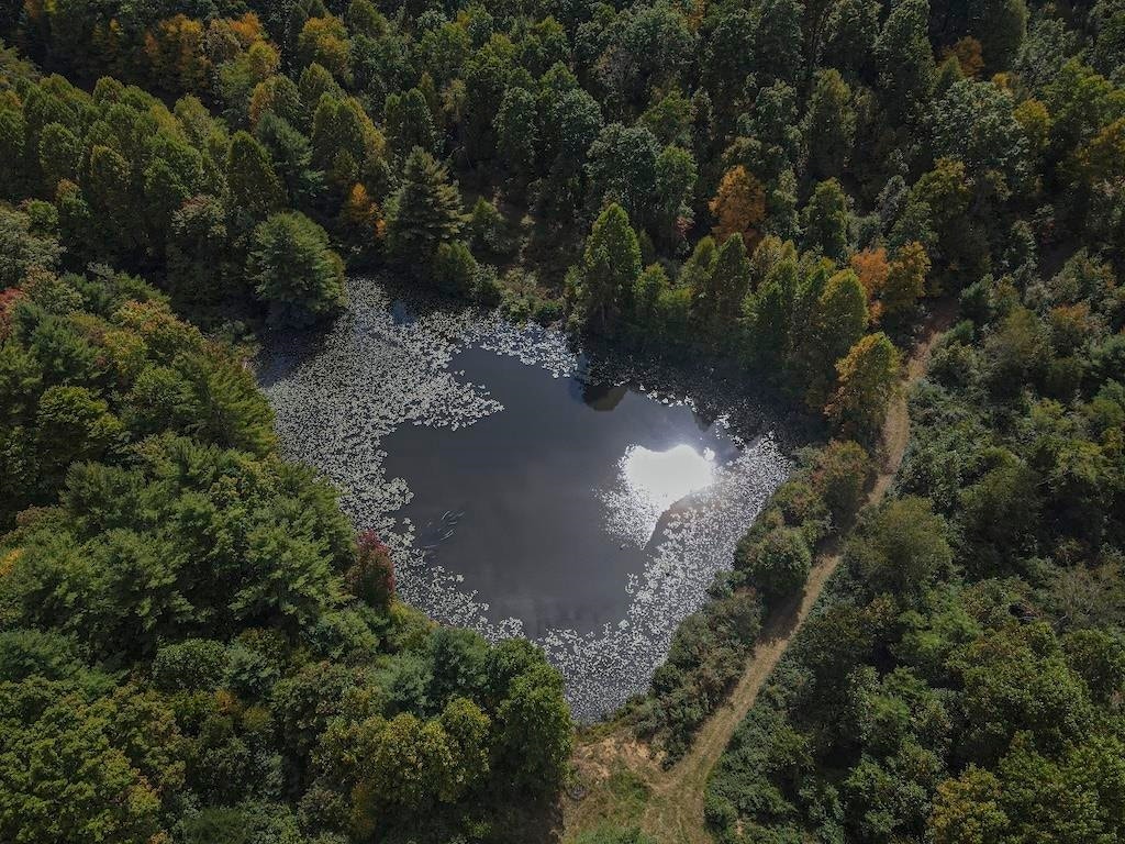 TBD Flat Top Road, Pearisburg, VA 24134